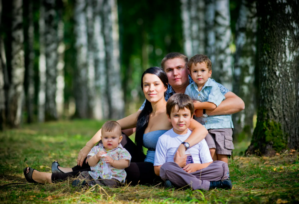 Фотография взята из источника yandex.ru