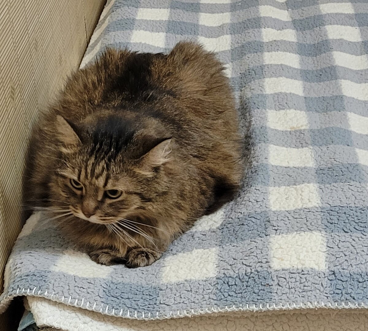 так действительно нельзя!