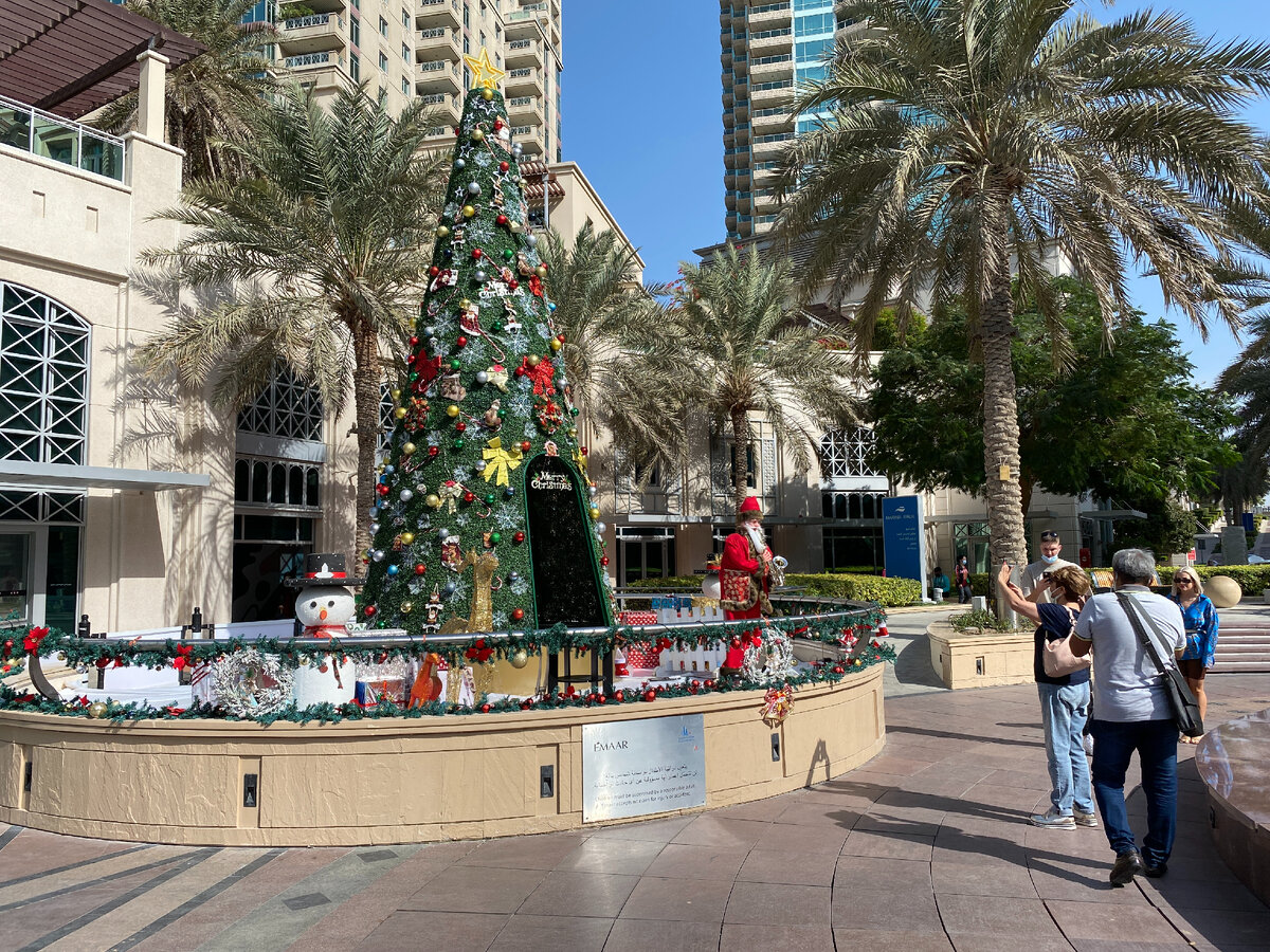 Главную елку района из-за пальм почти не видно