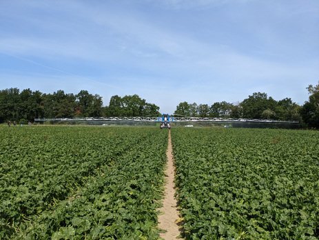 Инновационная дождевальная машина DL 66 Pro от Fasterholt Maskinfabrik в работе 