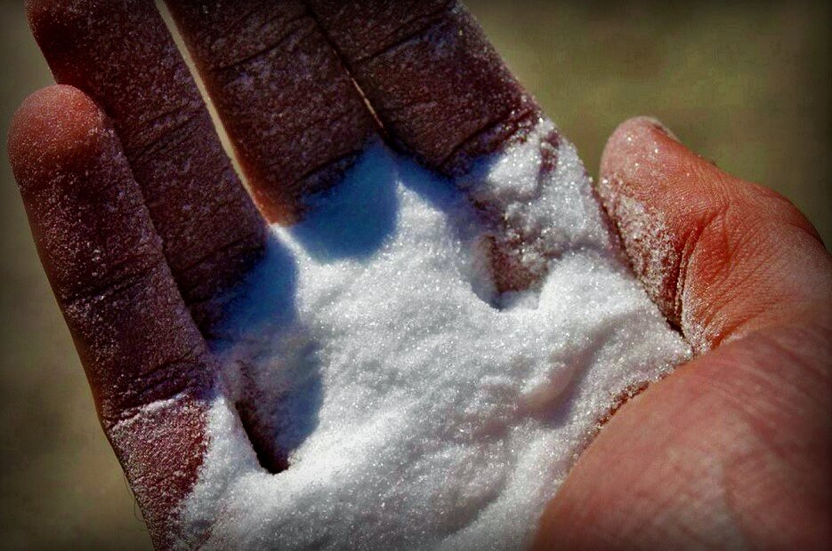 Фото – fr.davidsuzuki.org 