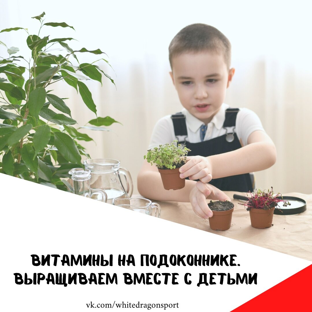 Задумывались  о пользе свежей зелени? А если ее выращивать самостоятельно на балконах  и подоконниках? Сейчас как никогда это актуально!  Во-первых, сезон,  во-вторых, накопленный авитаминоз дает о себе знать. Ну, и, в-третьих,  экономия на покупках зелени в магазинах)

А еще это  весело, можно сажать и ухаживать вместе с детьми, наблюдать за тем, как  растения из крошечного семени превращаются в пушистые кустики. А  сколько гордости будет потом, когда огородник-любитель собственноручно  принесет маме веточку петрушки для супа или перышки укропа для овощного  салата.
 
Высаживая растения, ухаживая за ними, ребенок учится  терпению и наблюдательности. И понимает, как много времени нужно, чтобы  что-то выросло. Дети нетерпеливы, и ожидание долгосрочных результатов  научит их тому, что не все на этом свете достается легко и просто.

Что рекомендуется посеять в горшочки: 
- любую микрозелень
- лук
- мяту и пряные травки

Подготовка: 
1. Выбираем место.

Подоконник.  Сначала нужно выбрать окно. Северная сторона дает слишком мало света, и  вам понадобится люминесцентная лампа. Южное окошко дает много солнца и  света, но в жаркий полдень нужно будет горшочки затенять от палящих  лучей. Лучше всего растения себя чувствуют на подоконниках с  юго-восточной и юго-западной стороны. 
 
2. Инструменты.  Мини-огород, конечно, не требует многочисленного инвентаря. Но в любом  случае, вам понадобится насыпать землю из пакетов в горшочки, делать  ямки для семян, закапывать, рыхлить. Для этих целей подойдет и обычная  столовая ложка. Но если вы беретесь за дело вместе с ребенком, можно  обзавестись детским набором для песочницы – совочек, грабельки, лейка,  все, как у настоящего садовника!

3. Земля. Землю для посадки  можно накопать возле дома или в саду неподалеку, но там могут обитать  черви, другие насекомые, семена сорных растений, осколки битого стекла.  Поэтому для садовых работ с малышом безопаснее будет купить большой  пакет с уже просеянной и обогащенной удобрениями почвой. Там же  продается и керамзит – камушки, которые нужно сыпать на дно каждого  горшка для лучшего дренажа. Без керамзита земля в горшках может  закиснуть.

4. Горшки. Выбирая «грядки» для вашего огорода,  прислушивайтесь к своему чувству прекрасного. Кому-то по душе практичные  и яркие пластиковые горшочки или продолговатые контейнеры, кому-то  нравятся классические керамические вазоны. Уверяем вас, укропу и  петрушке все равно, где произрастать. Им понравятся и старые кружки с  отбитыми ручками, и емкости от йогуртов или маскарпоне, и даже  непромокаемые картонные тетрапаки от детского кефира. Главное, чтобы эти  «горшочки» радовали ваш взгляд и удачно вписывались в интерьер комнаты.

Представляете какой огород получится? 
А еще на балконах прекрасно растут мини томаты, огурцы, и конечно цветы! 

Давайте сделаем мир чуточку ярче, зеленее вместе с детками)

#ушуказань  #казань #гимнастикаказань #кружкиказань #детскийсадказань #садикказань # #новостиказани #мамыказани #огороднабалконе #огороднаподоконнике