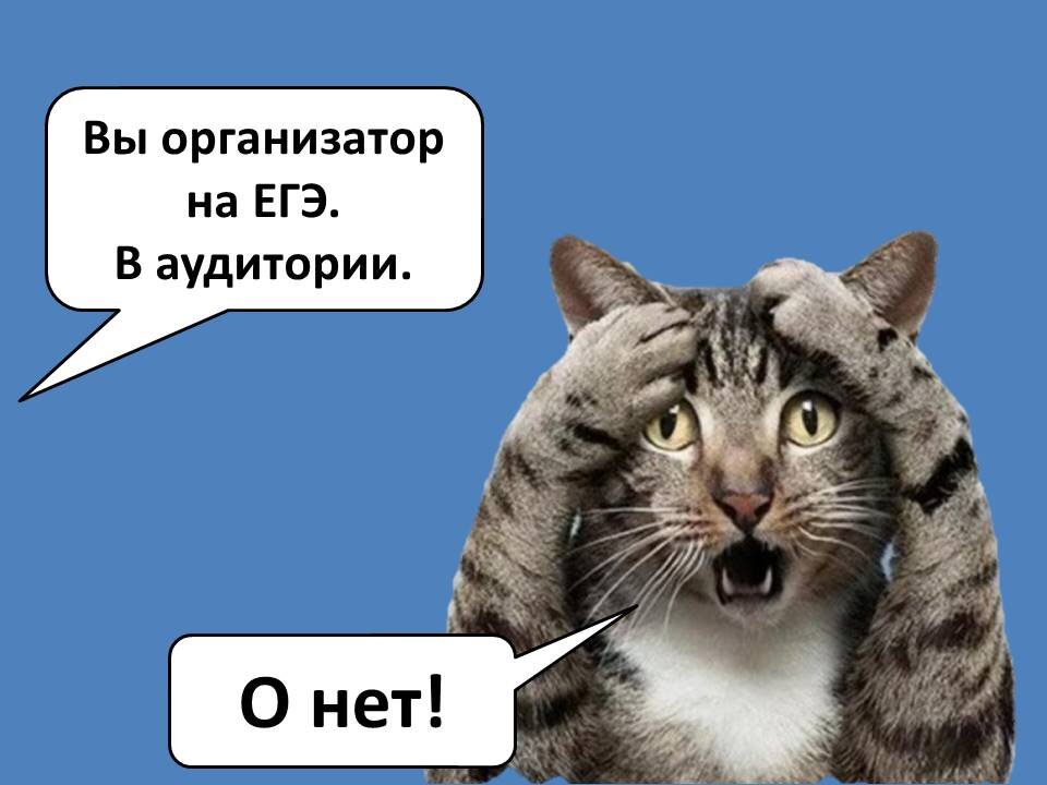 Примерно так реагируют учителя, когда узнают