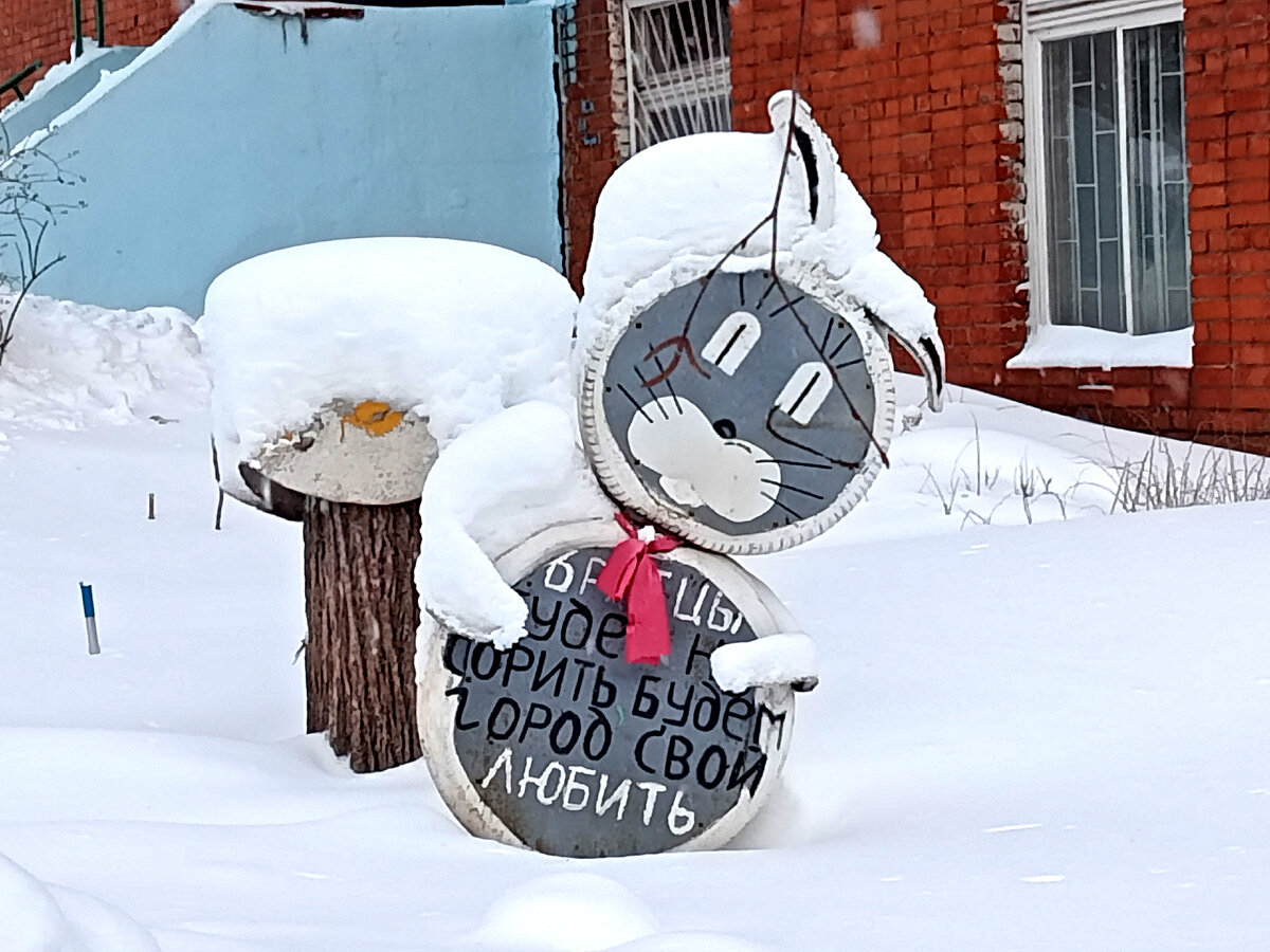 Шедевр из резины в нашем Дачном микрорайоне. Фото автора