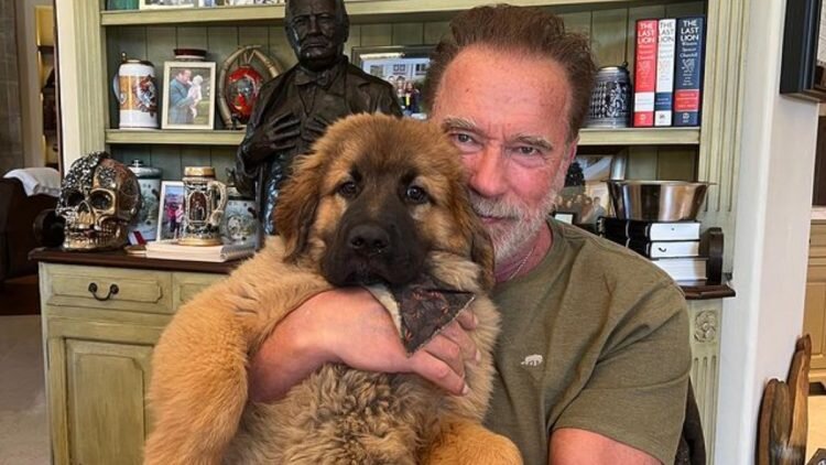 Арнольд Шварценеггер (Изображение: @schwarzenegger/Instagram)