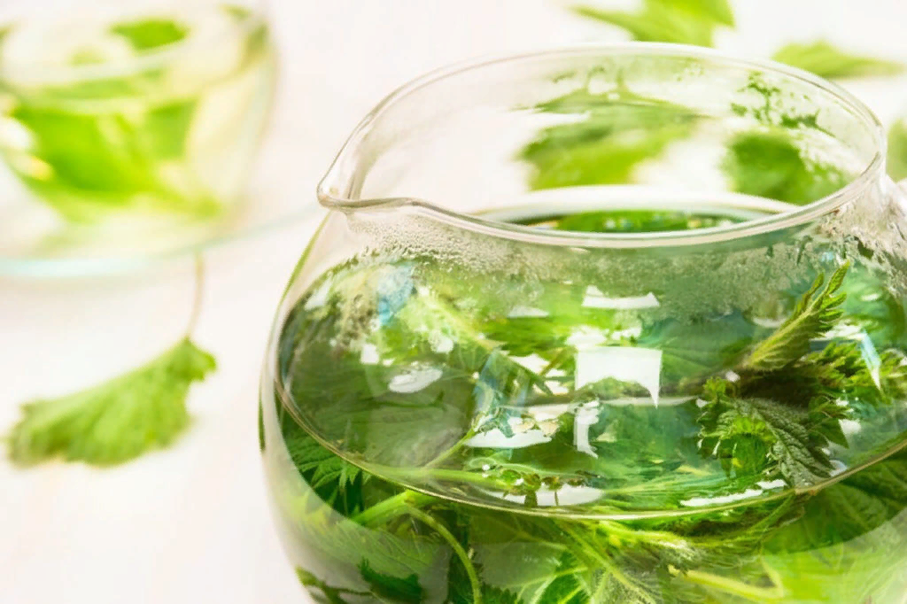 Настой из органики .