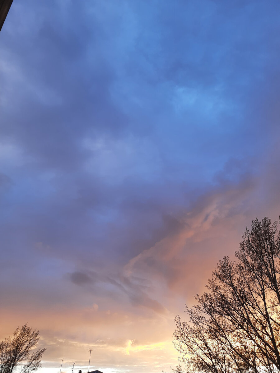 Тут что-то необыкновенное происходит