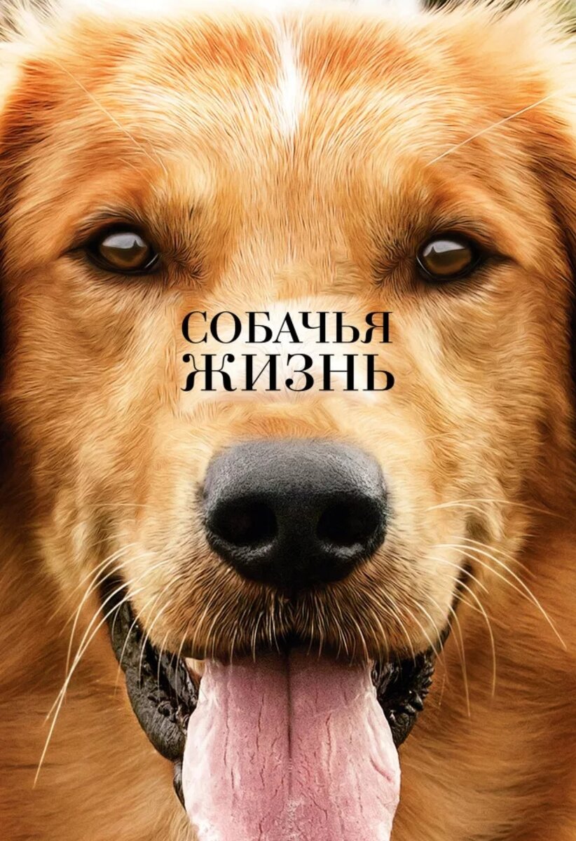 Постер взят из "Яндекс картинки" 