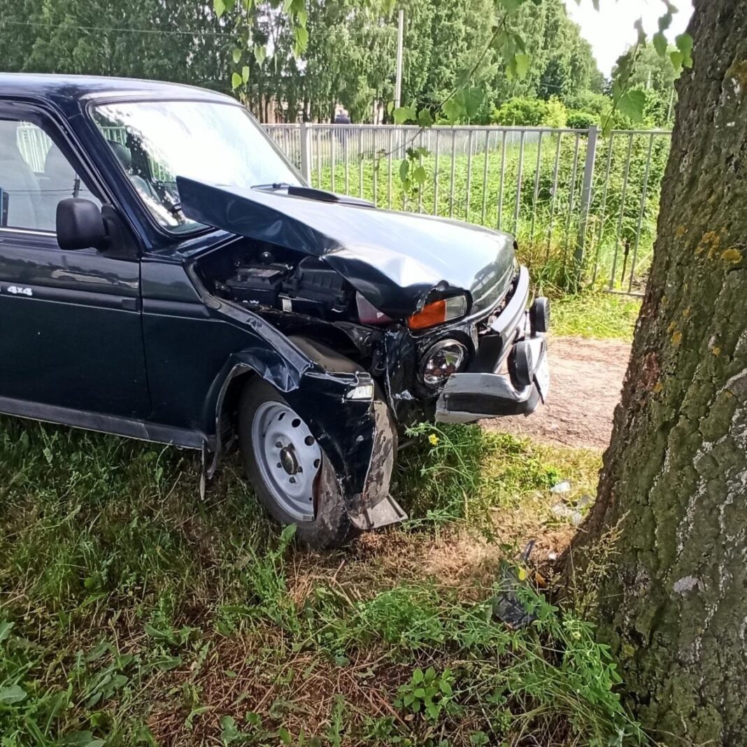    Фото Госавтоинспекции Рязанской области