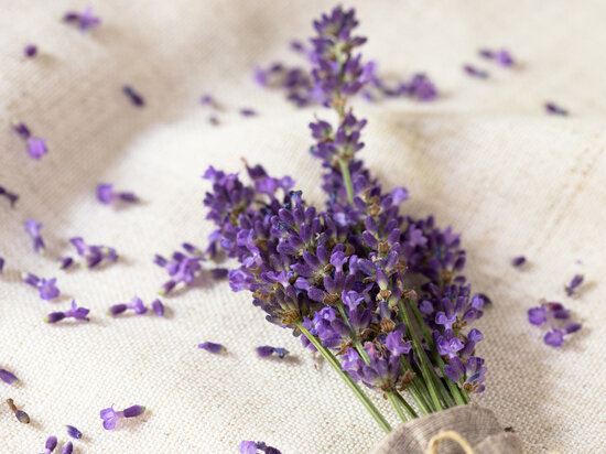     Фото: unsplash.com