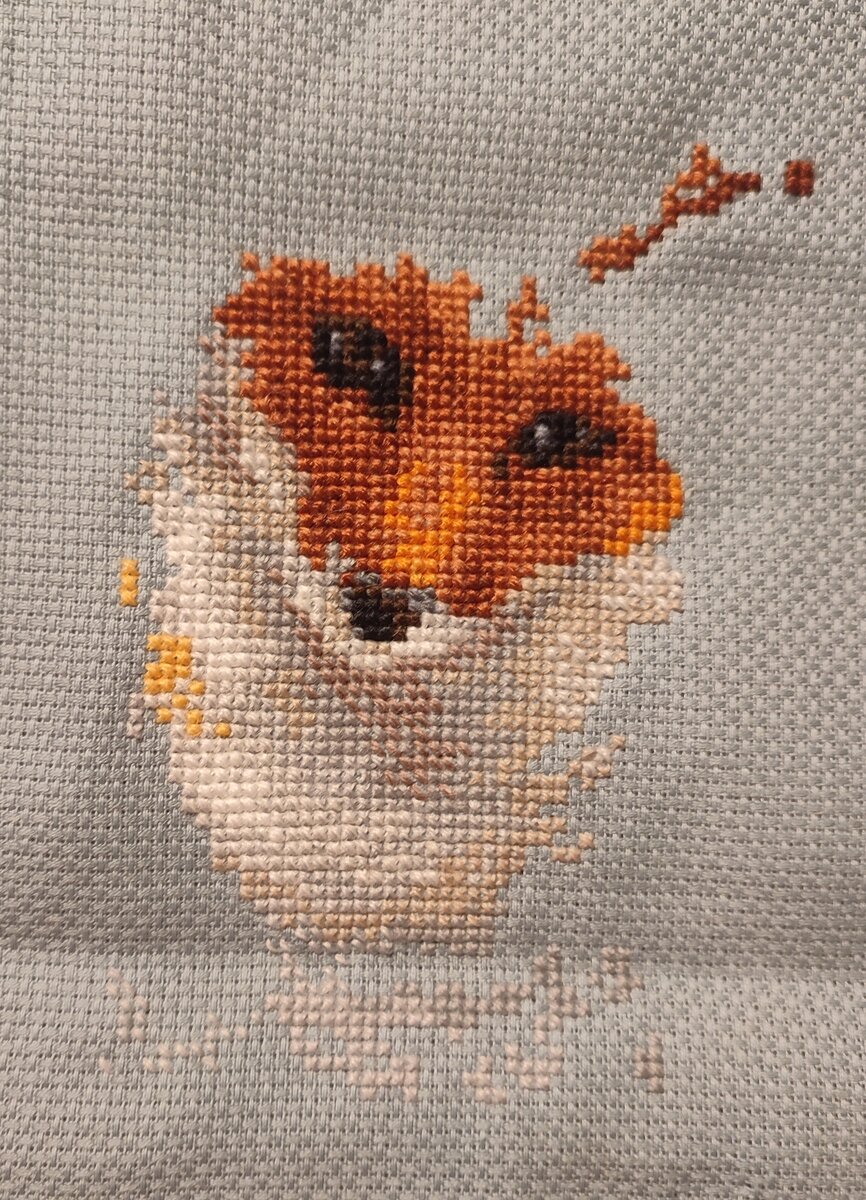 Уже точно никто не скажет, что это курочка 😁