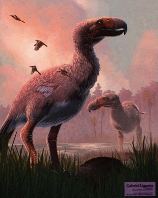 Артур, тут слухи, что наши потомки обмельчали, может нам вернуться?