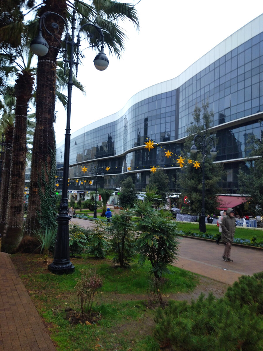 В феврале... внутри торгового центра клумы с цветущими розами, причем круглогодично 🌼