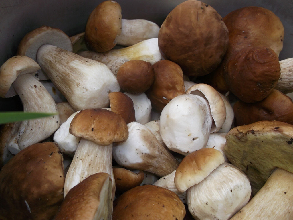 АРХИВНОЕ. АВТОР.