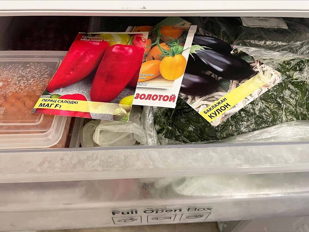 Фото: Виктория Исаева