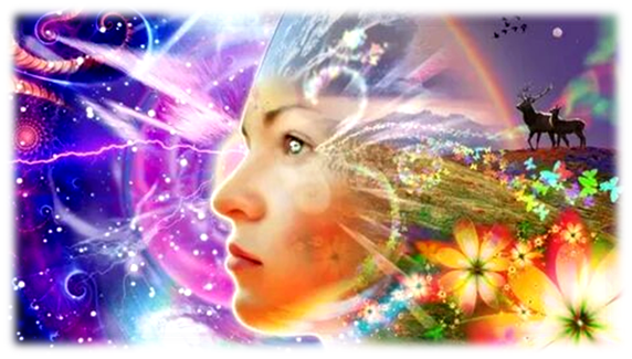 Изображение взято из открытых источников в интернете.