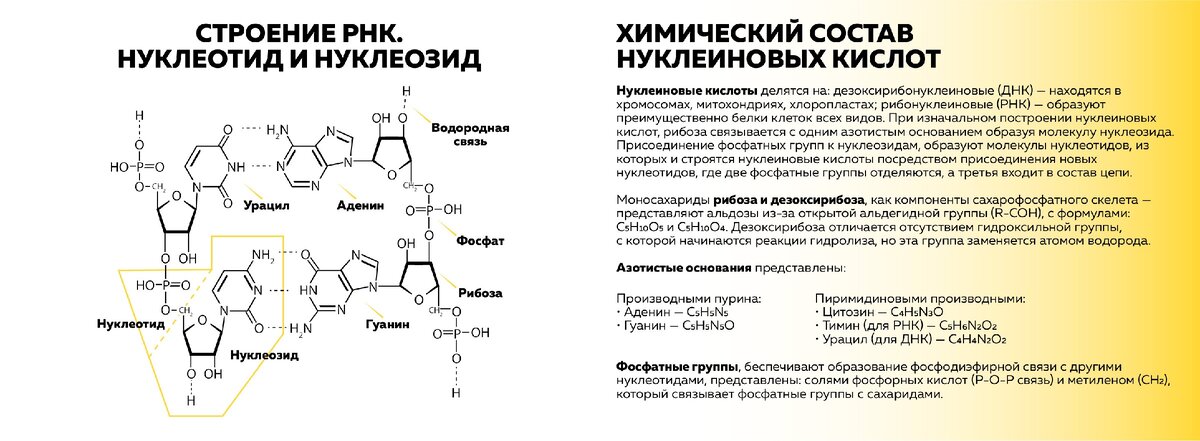 Скачать  архив с фото и текстом, можно в конце.