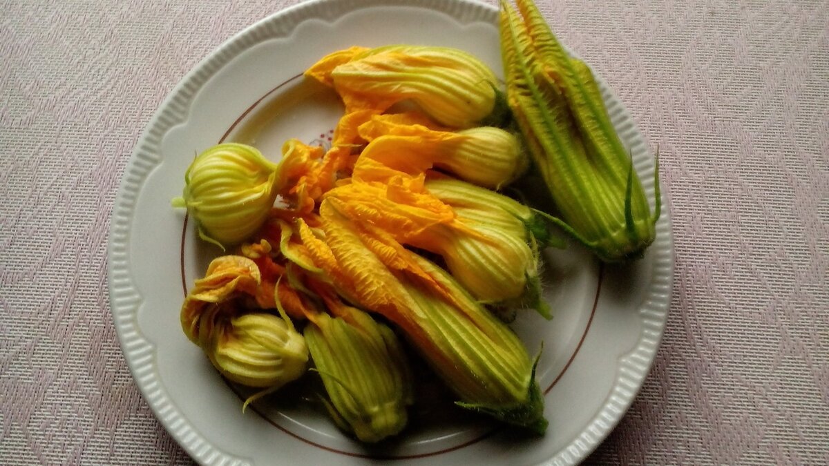 Цветки кабачков и тыквы. Фото автора