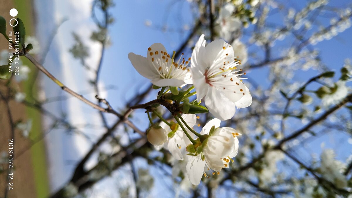 Весна очень хорошо севты 2019 /3/4 снимали 