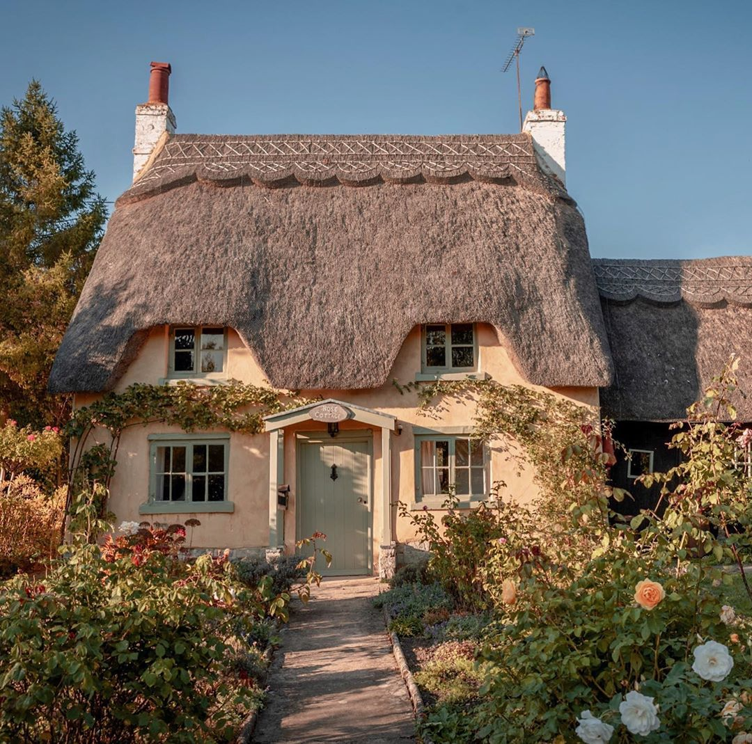 Фото с сайта: Pinterest.nz