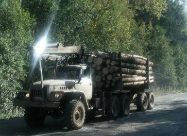 Фото взято из интернета.