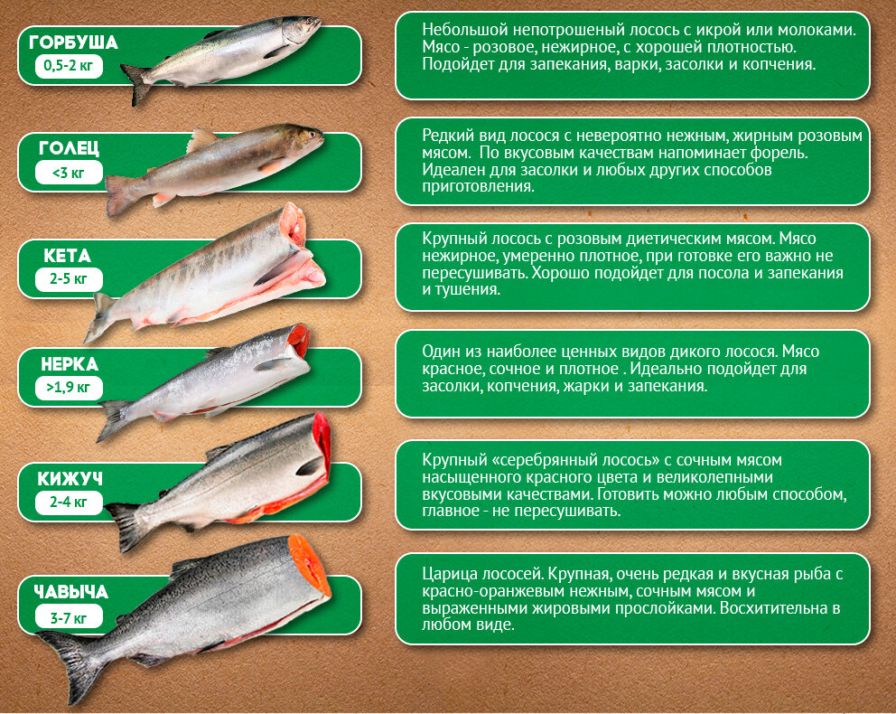 Таблица лососевых рыб