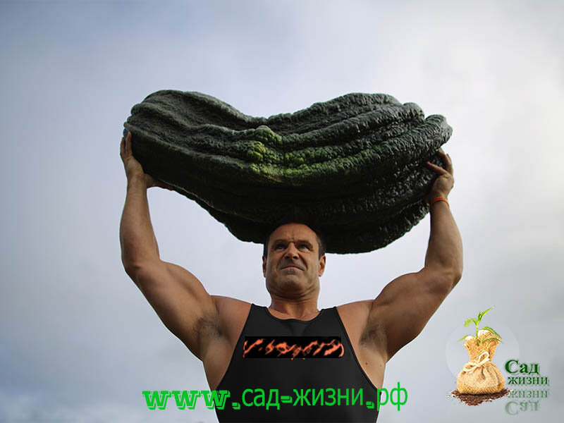 Гигантомания