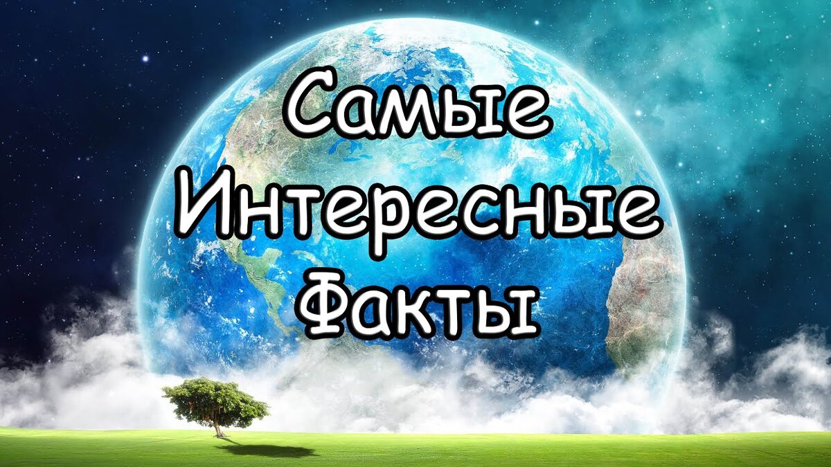 Интересные факты
