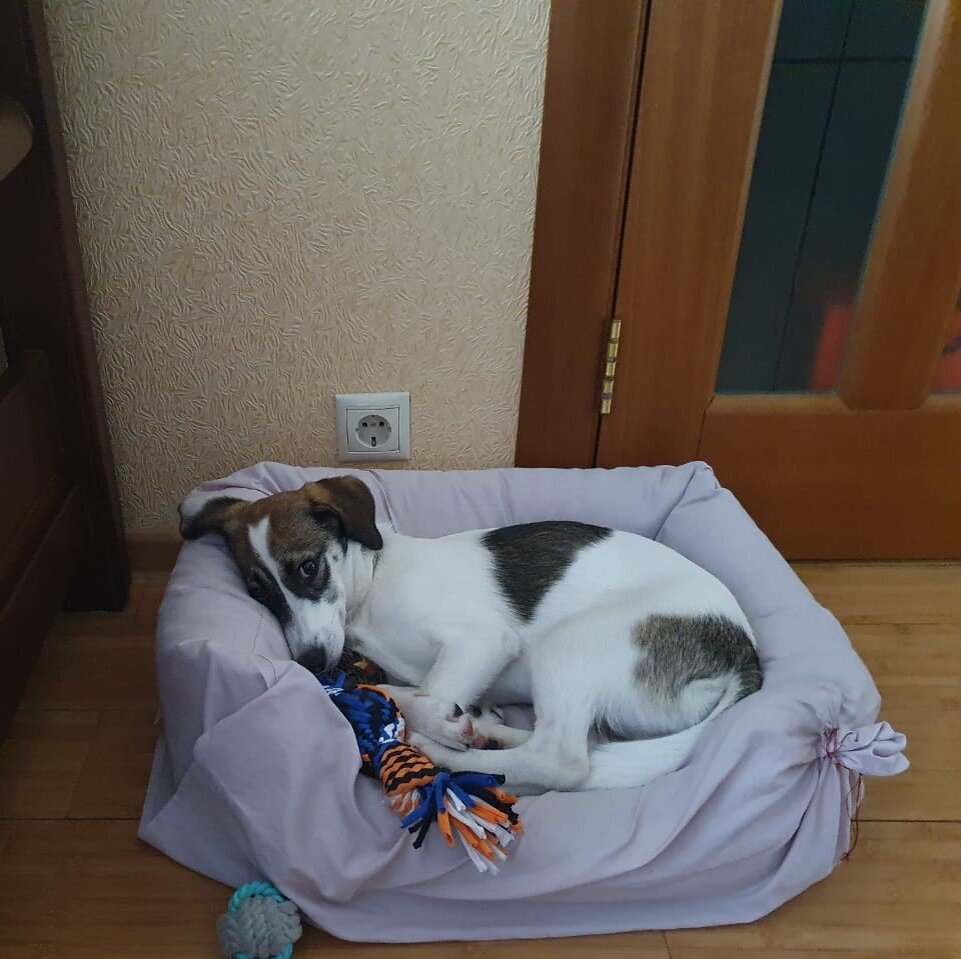 Умочкин диванчик