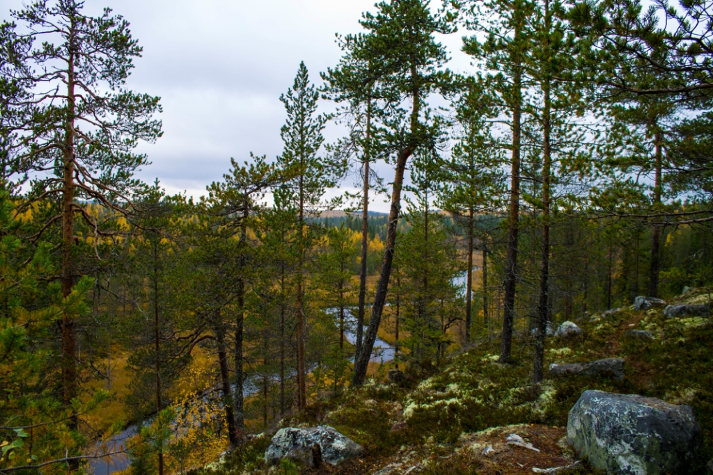 Фото автора блога 