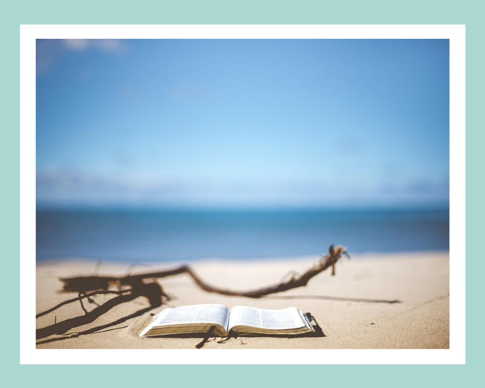 Фото: pixaby, обработка автора