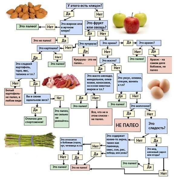 Краткая инструкция по палеопродуктам.