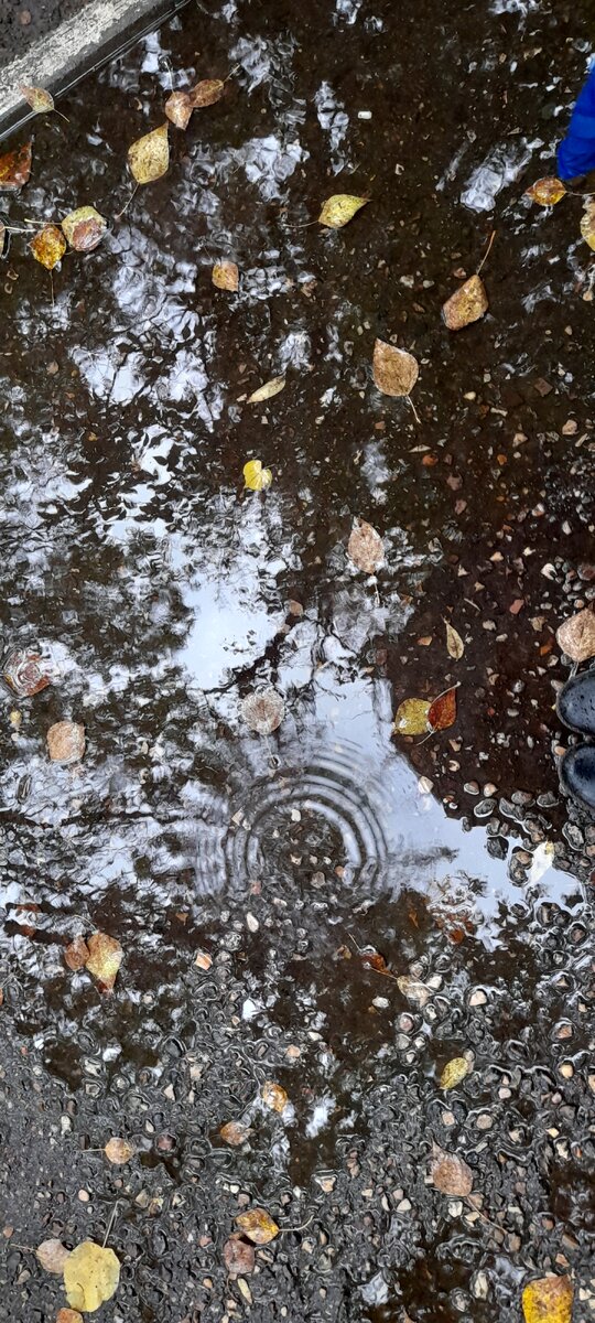 На улице дождь, ходила под зонтом 