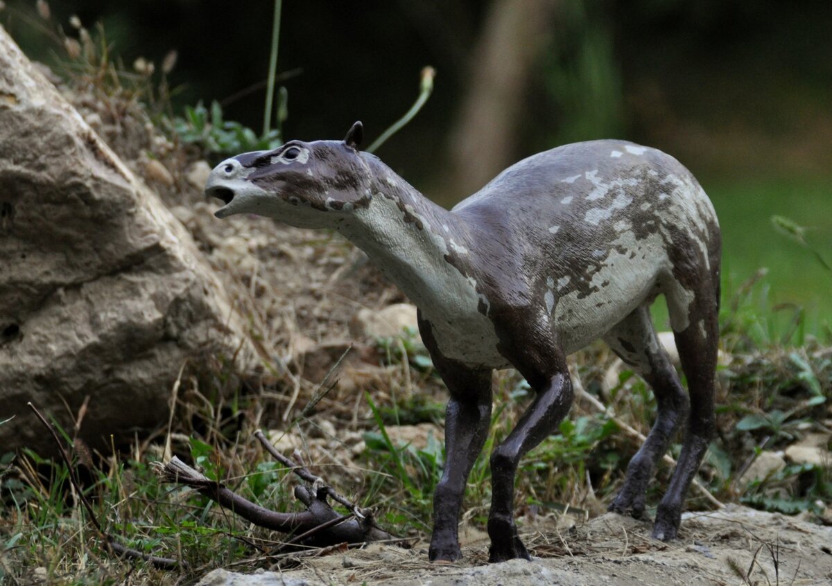 Не пугайте деда! 