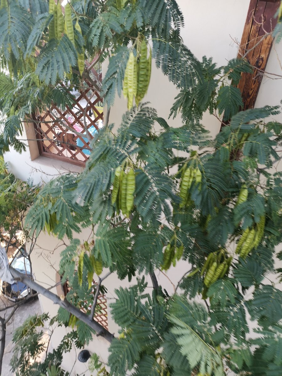 1.Ушла любовь