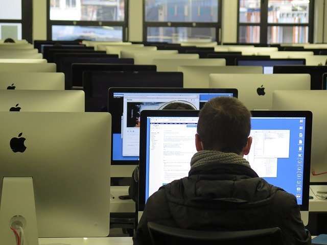 Источник:  Pixabay License