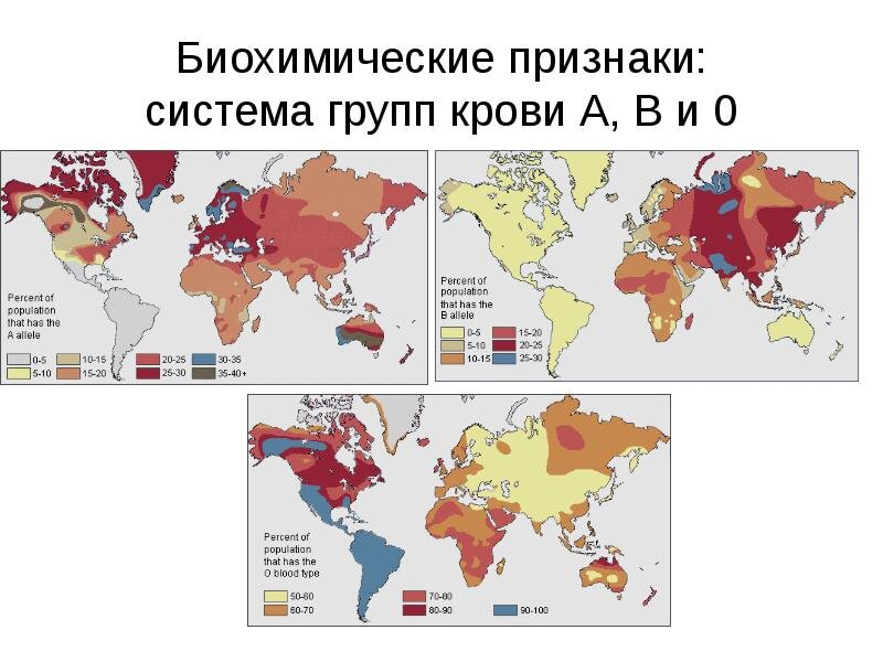 Карта групп крови