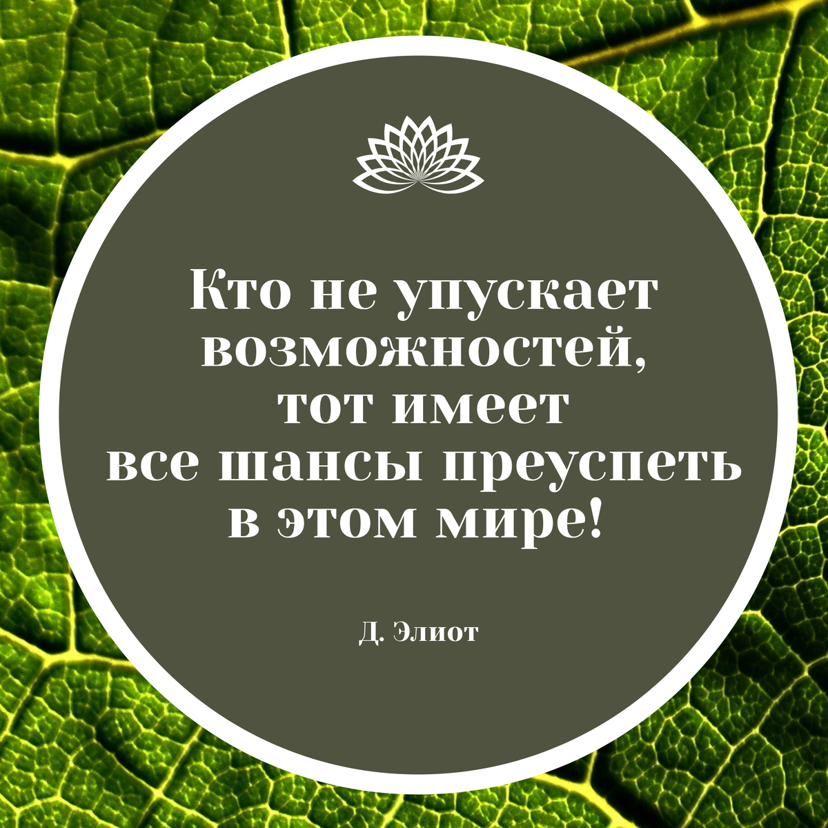 И вдохновляющая цитата для ВАС)

#jiva_energy_blog #антистресс #хорошеенастроение #life #полезныесоветы #жизнь   #самоизоляция #коронавирус