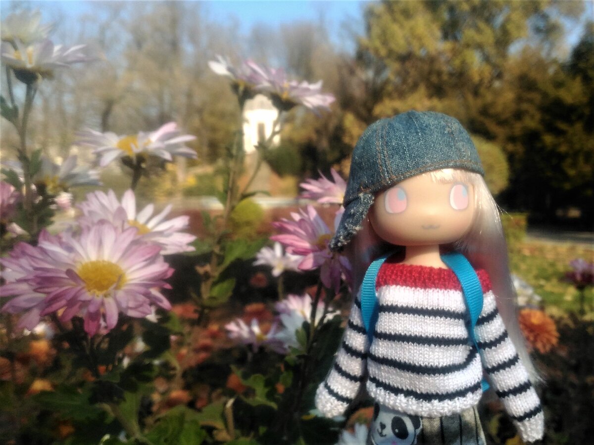 Jossie Иевочка в осеннем Краснодаре год назад. Фото авторские.