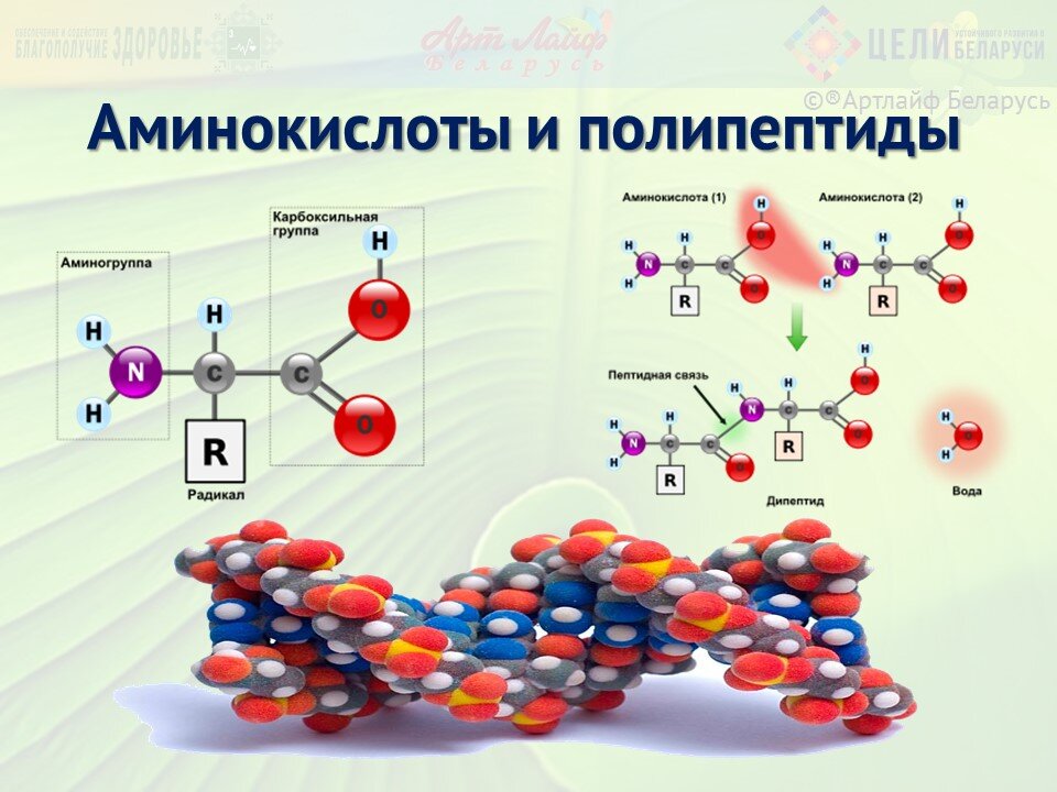 Фруктовые аминокислоты и их использование в косметологии проект