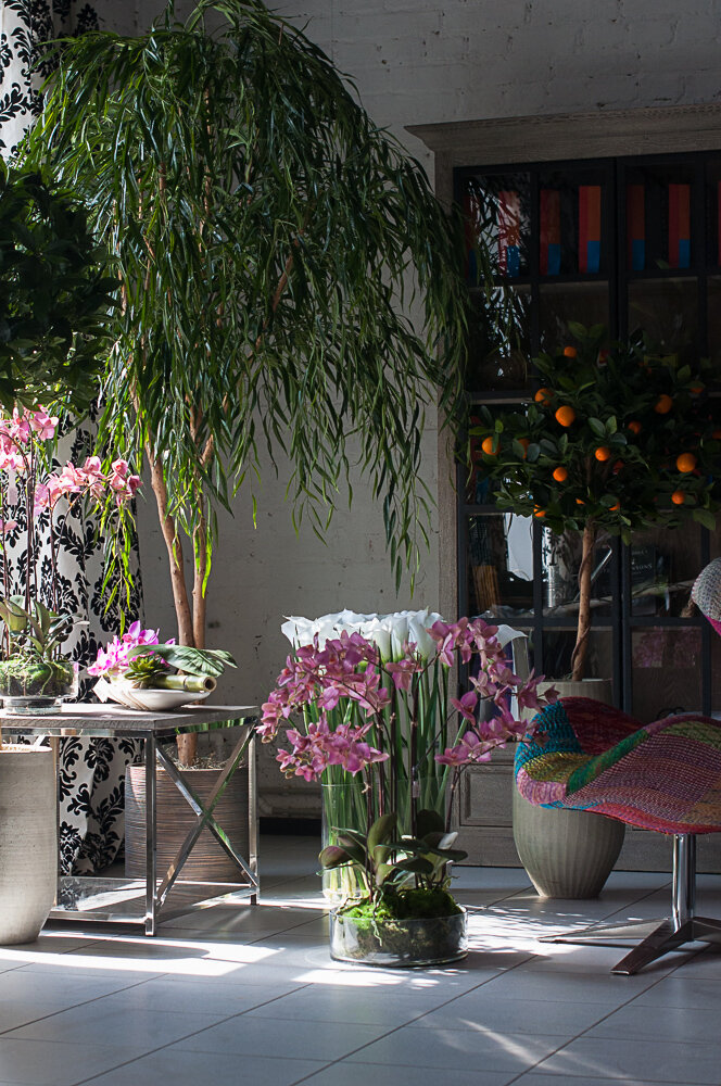 Эффектный зимний сад в интерьере из искусственных растений марки Treez Collection.