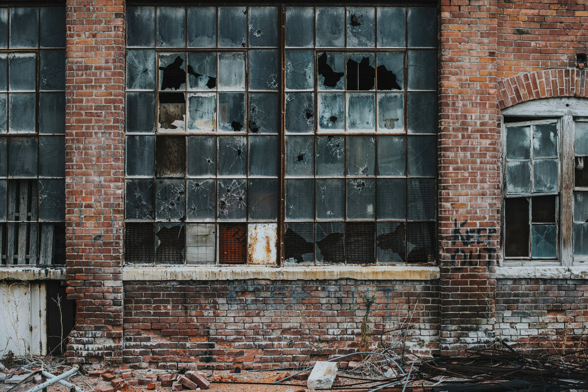 "Богатые тоже зомби 2: замкадыши", Екатерина Широкова. Фото Тары Эванс на Unsplash