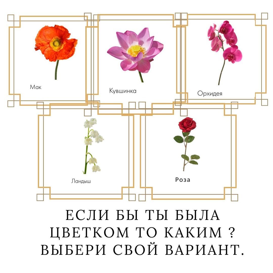 Тест на предназначение
