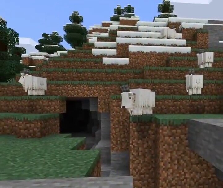 горная коза