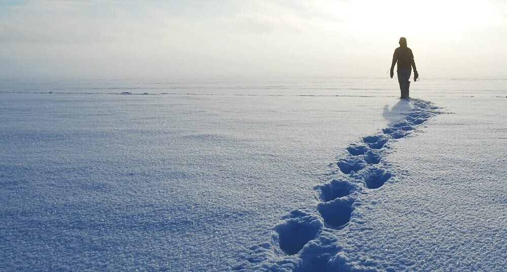 Источник фото: twitter.com