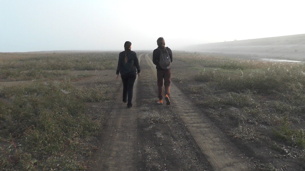 Там, где была вода, уже дорога и высокие кустарники. 