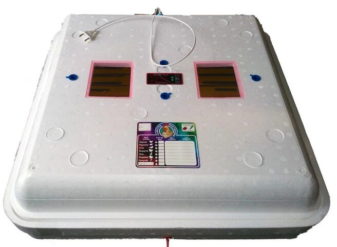 Инкубатор несушка