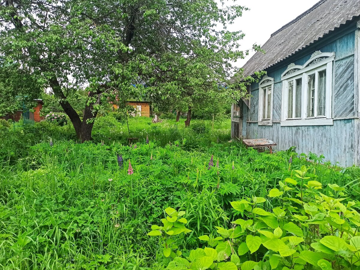 Поиск и покупка дачи