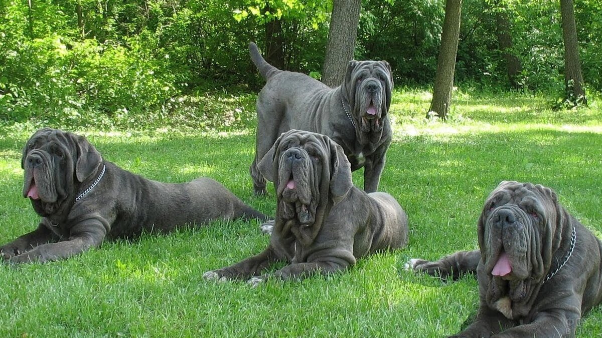 фото взято с Яндекс.картинки