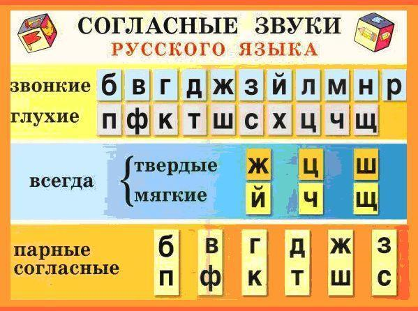 Таблица звонких и глухих звуков